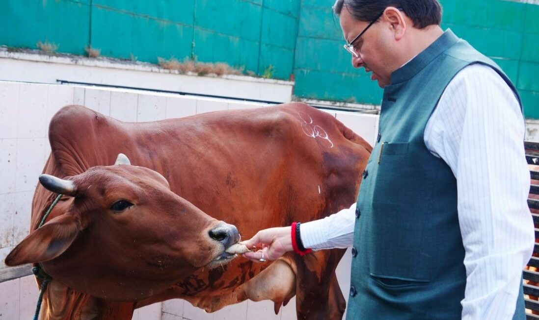 गोवर्धन पूजा के अवसर पर मुख्यमंत्री धामी ने गौ सेवा की और जनता को भक्ति एवं प्रकृति संरक्षण का संदेश दिया।