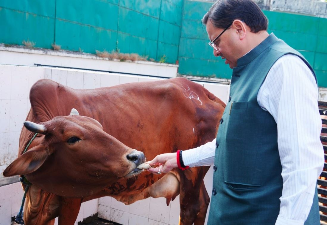 गोवर्धन पूजा के अवसर पर मुख्यमंत्री धामी ने गौ सेवा की और जनता को भक्ति एवं प्रकृति संरक्षण का संदेश दिया।