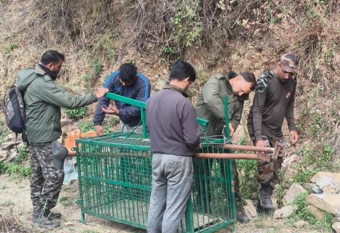 मानव-वन्यजीव संघर्ष पर कड़ा कदम: गुलदार को पकड़ने के साथ ही नष्ट करने के आदेश